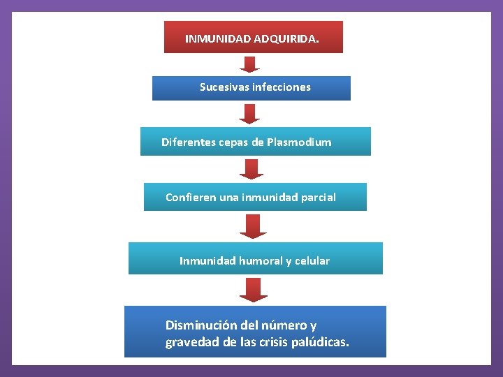 INMUNIDAD ADQUIRIDA. Sucesivas infecciones Diferentes cepas de Plasmodium Confieren una inmunidad parcial Inmunidad humoral