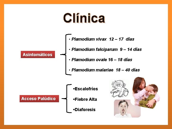 Clínica • Plamodium vivax 12 – 17 días • Plamodium falciparum 9 – 14