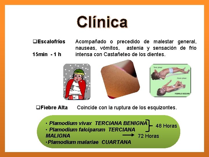 Clínica q. Escalofríos 15 min - 1 h q. Fiebre Alta Acompañado o precedido