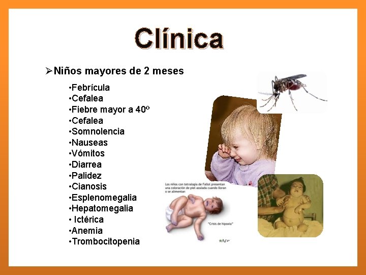 Clínica ØNiños mayores de 2 meses • Febrícula • Cefalea • Fiebre mayor a