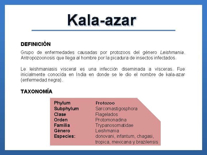 Kala-azar DEFINICIÓN Grupo de enfermedades causadas por protozoos del género Leishmania. Antropozoonosis que llega
