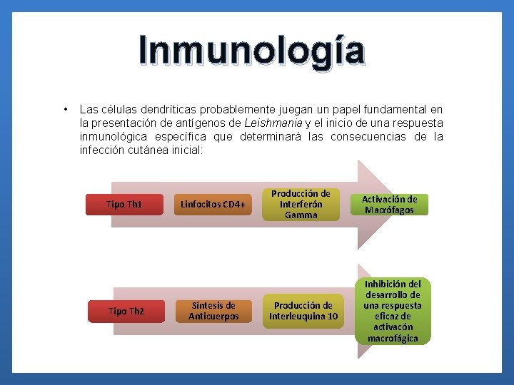 Inmunología • Las células dendríticas probablemente juegan un papel fundamental en la presentación de