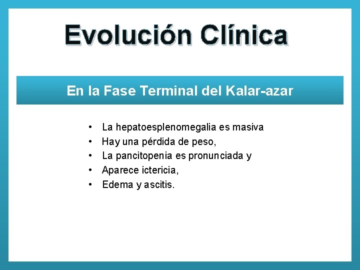 Evolución Clínica En la Fase Terminal del Kalar-azar • • • La hepatoesplenomegalia es