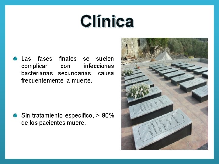 Clínica Las fases finales se suelen complicar con infecciones bacterianas secundarias, causa frecuentemente la