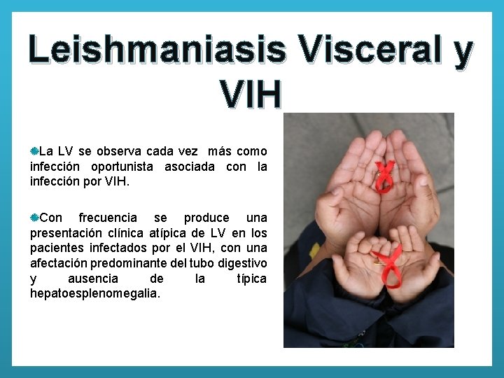Leishmaniasis Visceral y VIH La LV se observa cada vez más como infección oportunista