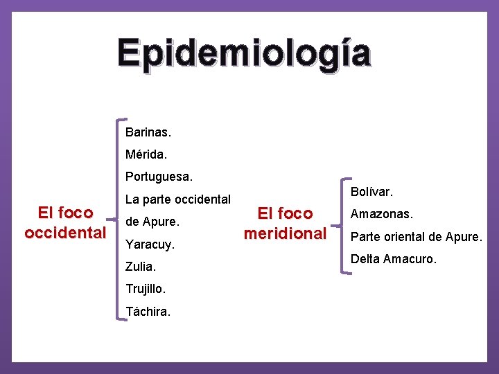 Epidemiología Barinas. Mérida. Portuguesa. El foco occidental La parte occidental de Apure. Yaracuy. Zulia.