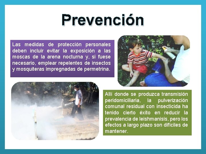 Prevención Las medidas de protección personales deben incluir evitar la exposición a las moscas