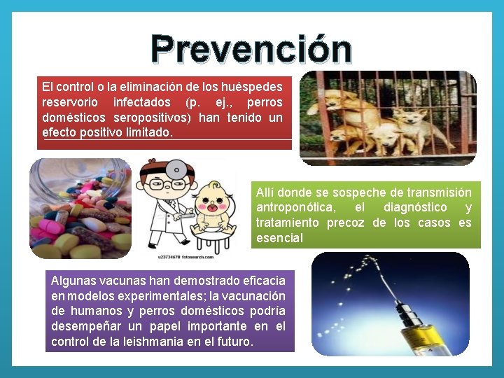 Prevención El control o la eliminación de los huéspedes reservorio infectados (p. ej. ,