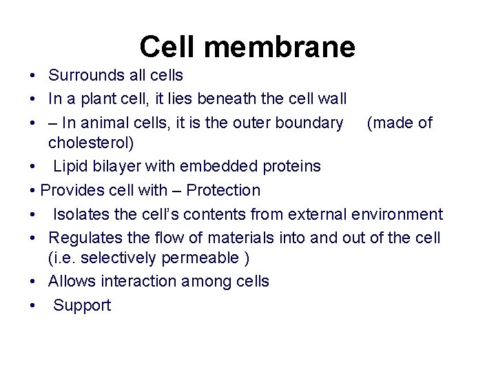 Cell membrane • Surrounds all cells • In a plant cell, it lies beneath
