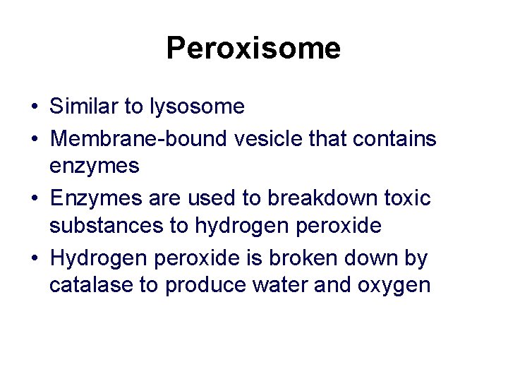 Peroxisome • Similar to lysosome • Membrane-bound vesicle that contains enzymes • Enzymes are