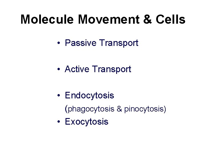 Molecule Movement & Cells • Passive Transport • Active Transport • Endocytosis (phagocytosis &