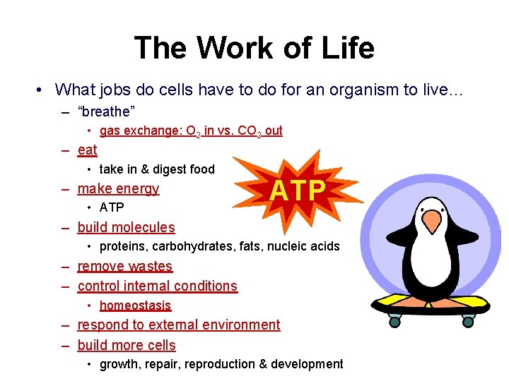 The Work of Life • What jobs do cells have to do for an