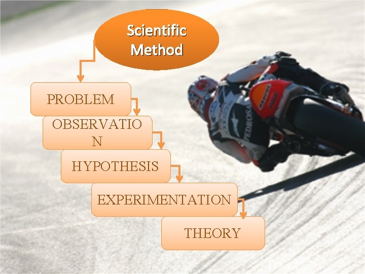 Scientific Method PROBLEM OBSERVATIO N HYPOTHESIS EXPERIMENTATION THEORY 