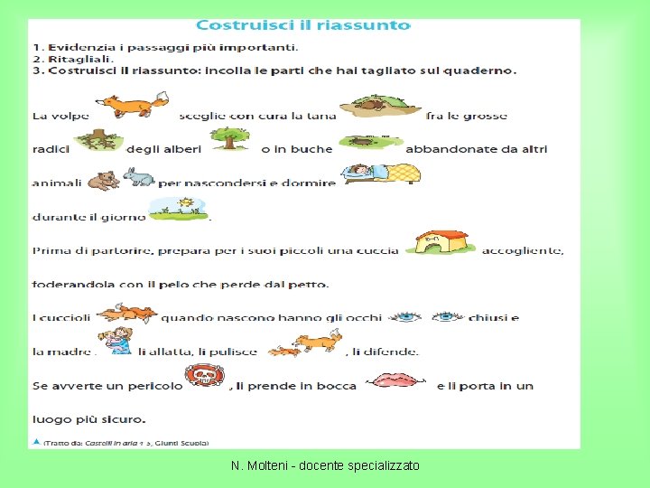 N. Molteni - docente specializzato 