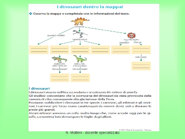 N. Molteni - docente specializzato 