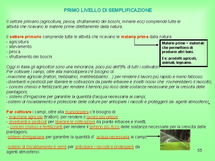 PRIMO LIVELLO DI SEMPLIFICAZIONE Il settore primario (agricoltura, pesca, sfruttamento dei boschi, miniere ecc)