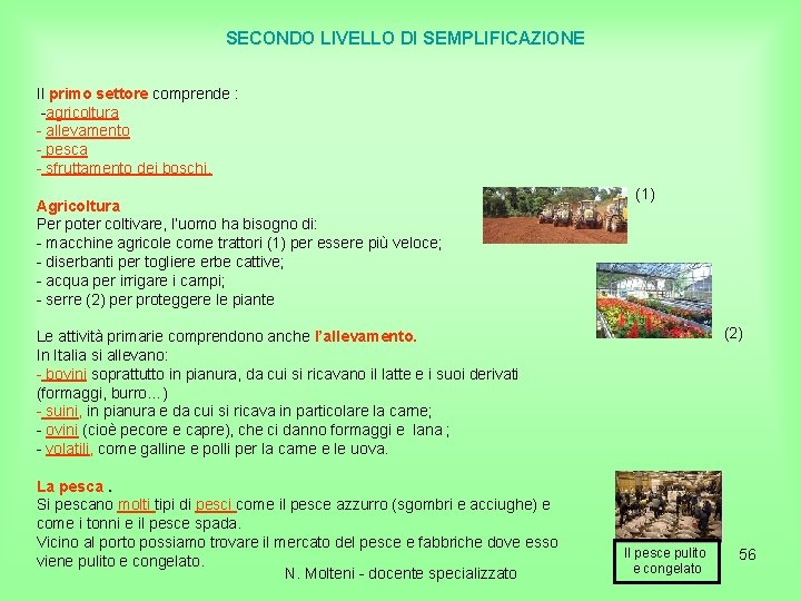 SECONDO LIVELLO DI SEMPLIFICAZIONE Il primo settore comprende : -agricoltura - allevamento - pesca