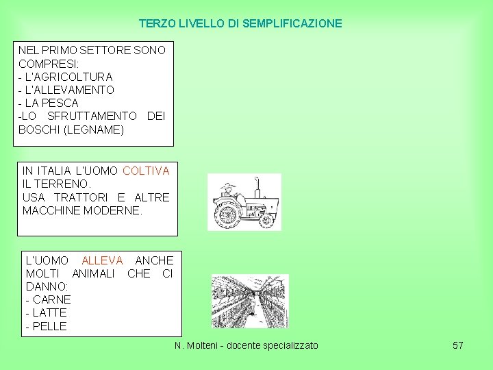 TERZO LIVELLO DI SEMPLIFICAZIONE NEL PRIMO SETTORE SONO COMPRESI: - L’AGRICOLTURA - L’ALLEVAMENTO -