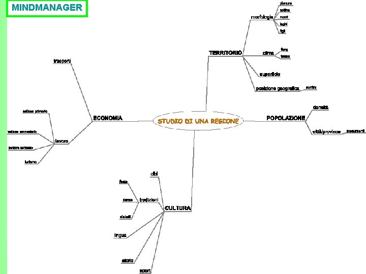 MINDMANAGER 