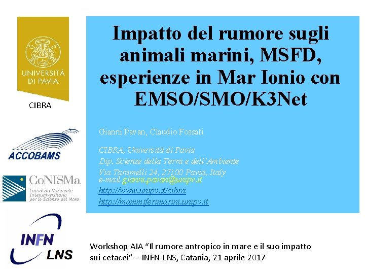 CIBRA Impatto del rumore sugli animali marini, MSFD, esperienze in Mar Ionio con EMSO/SMO/K