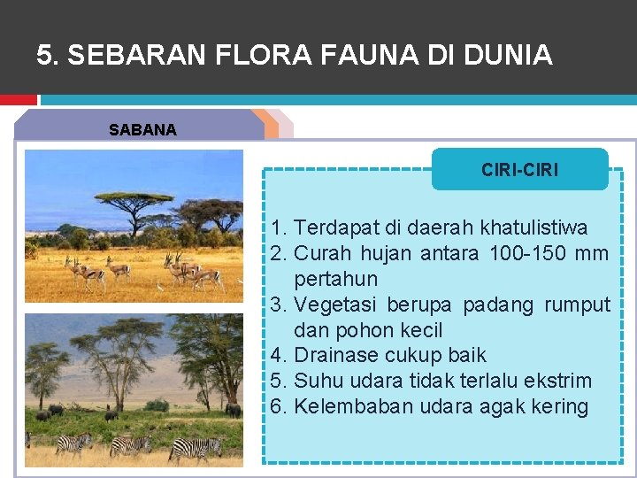 5. SEBARAN FLORA FAUNA DI DUNIA ANALISIS SABANA BUKU TEKS CIRI-CIRI 1. Terdapat di