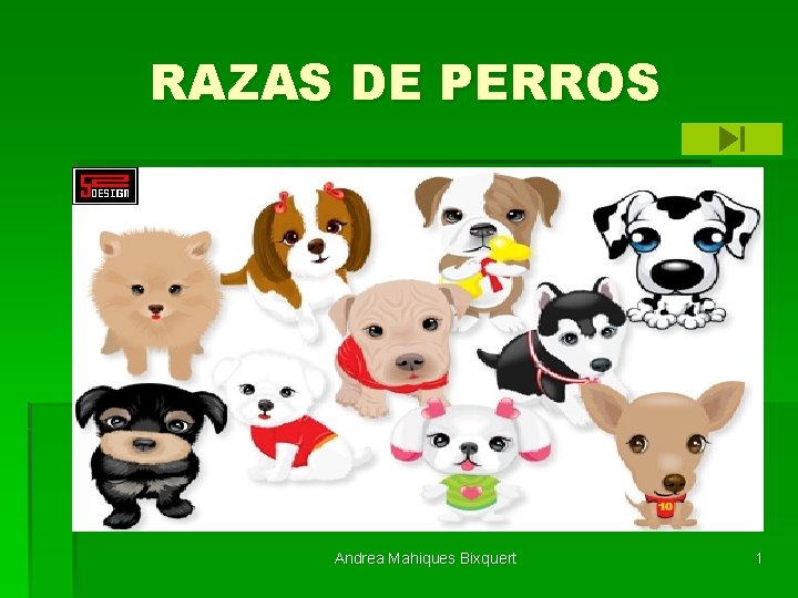 RAZAS DE PERROS Andrea Mahiques Bixquert 1 