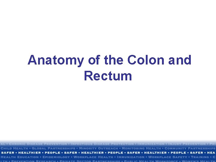 Anatomy of the Colon and Rectum Anatomy of the Colon and Rectum