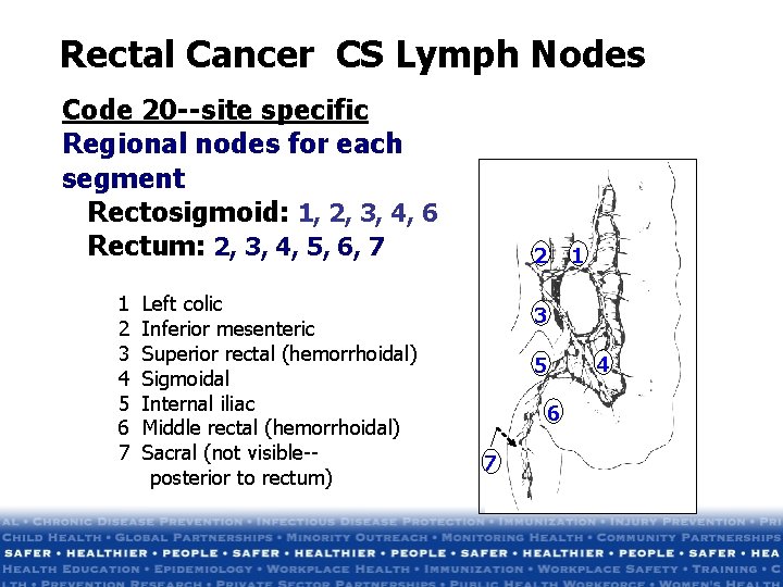 Rectal Cancer CS Lymph Nodes Code 20 --site specific Regional nodes for each segment Rectal Cancer CS Lymph Nodes Code 20 --site specific Regional nodes for each segment