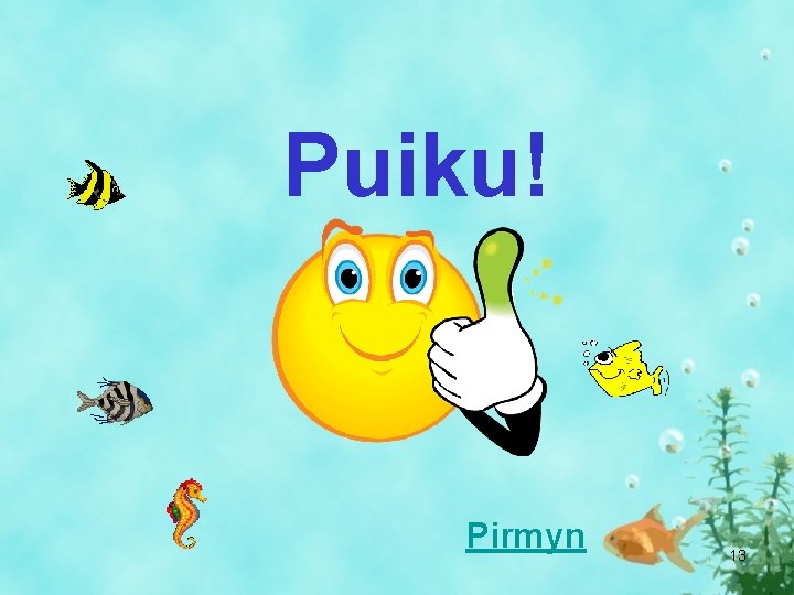 Puiku! Pirmyn 13 