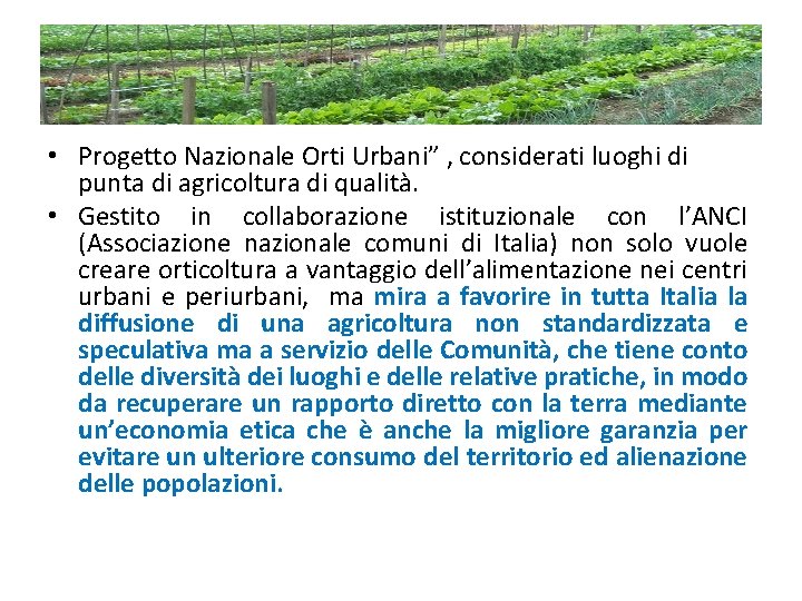  • Progetto Nazionale Orti Urbani” , considerati luoghi di punta di agricoltura di