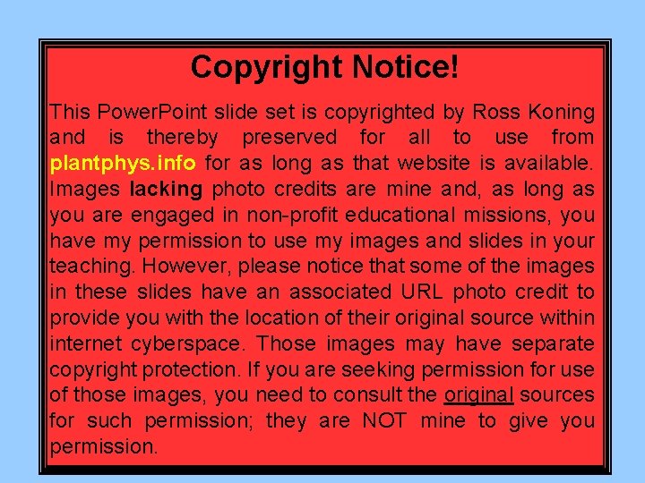 Copyright Notice! This Power. Point slide set is copyrighted by Ross Koning and is