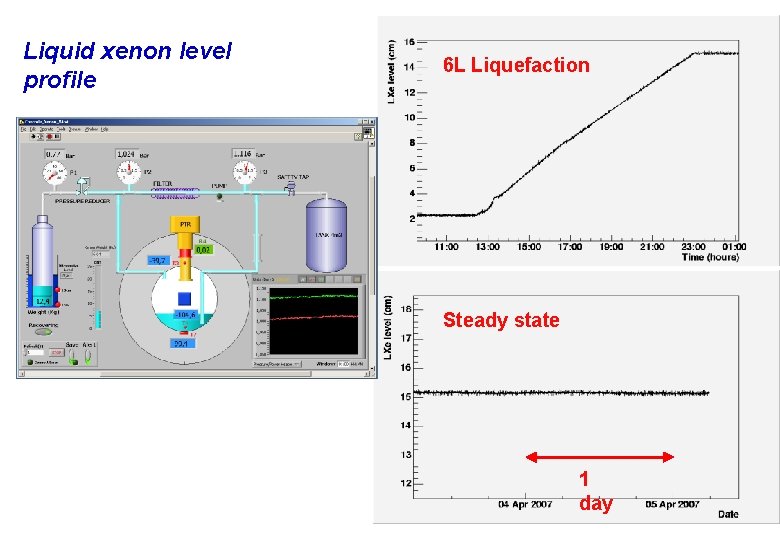 Liquid xenon level profile 6 L Liquefaction Steady state 1 day 