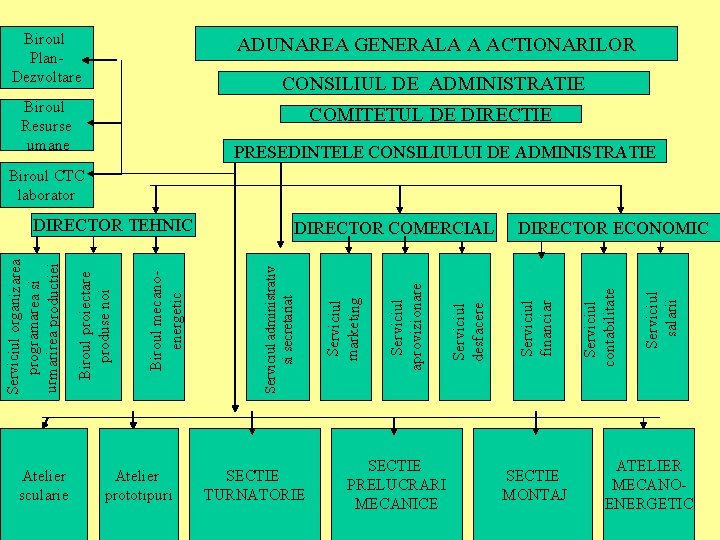 Biroul Plan Dezvoltare ADUNAREA GENERALA A ACTIONARILOR CONSILIUL DE ADMINISTRATIE Biroul Resurse umane COMITETUL