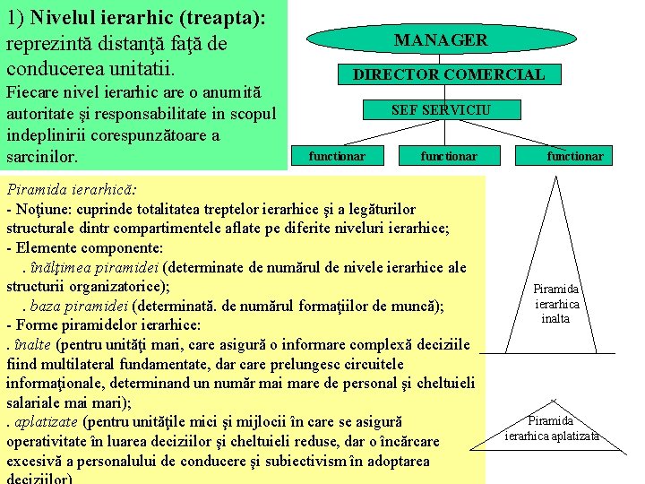 1) Nivelul ierarhic (treapta): reprezintă distanţă faţă de conducerea unitatii. Fiecare nivel ierarhic are