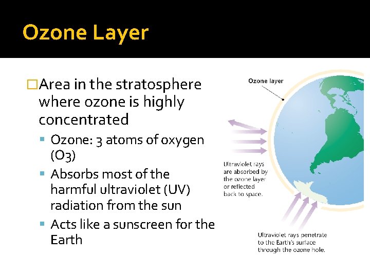 Ozone Layer �Area in the stratosphere where ozone is highly concentrated Ozone: 3 atoms