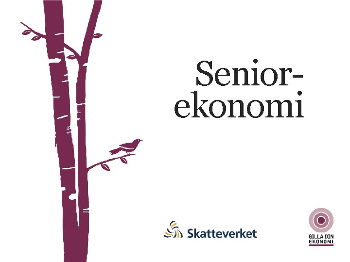 Seniorekonomi 