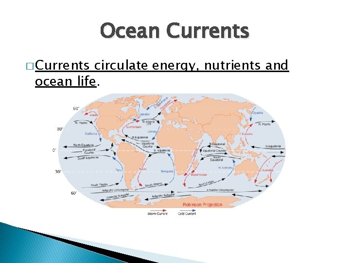 Ocean Currents � Currents circulate energy, nutrients and ocean life. 