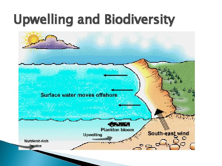 Upwelling and Biodiversity 