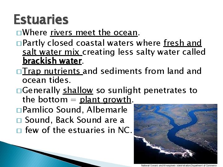 Estuaries � Where rivers meet the ocean. � Partly closed coastal waters where fresh