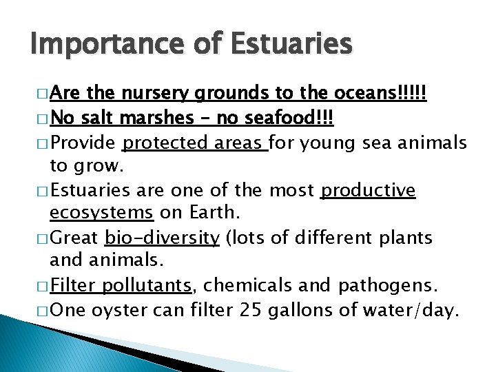 Importance of Estuaries � Are the nursery grounds to the oceans!!!!! � No salt