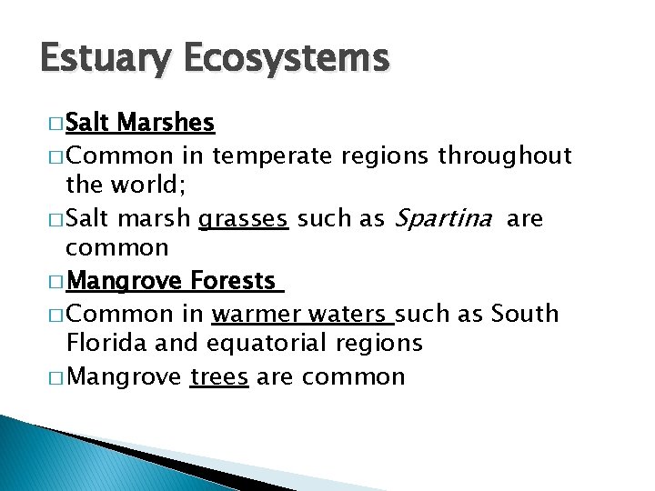 Estuary Ecosystems � Salt Marshes � Common in temperate regions throughout the world; �