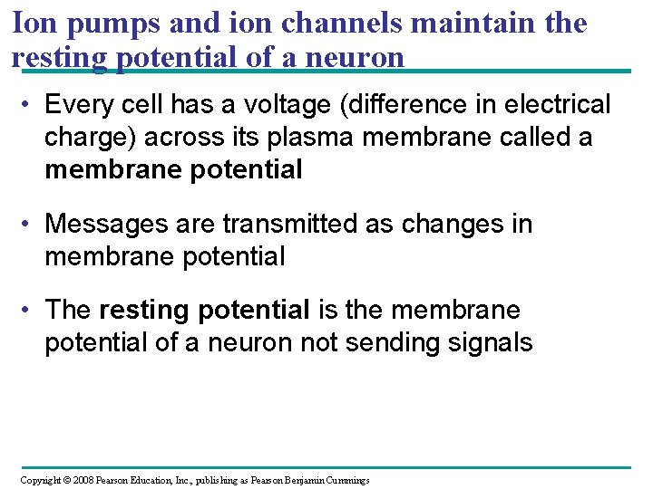 Ion pumps and ion channels maintain the resting potential of a neuron • Every
