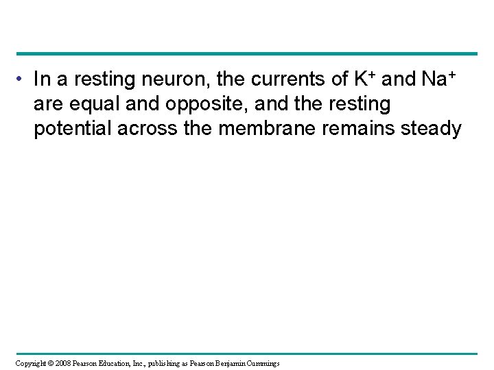  • In a resting neuron, the currents of K+ and Na+ are equal