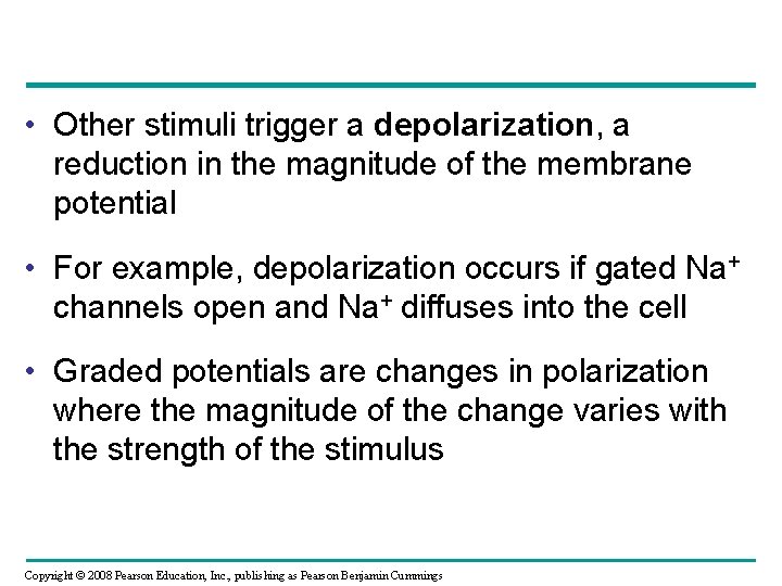  • Other stimuli trigger a depolarization, a reduction in the magnitude of the
