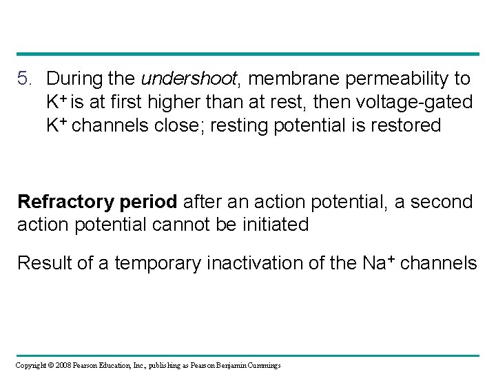 5. During the undershoot, membrane permeability to K+ is at first higher than at