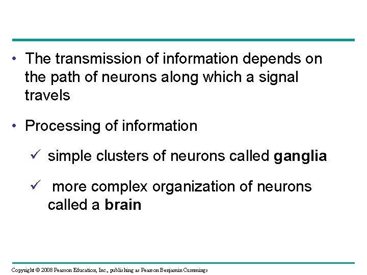  • The transmission of information depends on the path of neurons along which