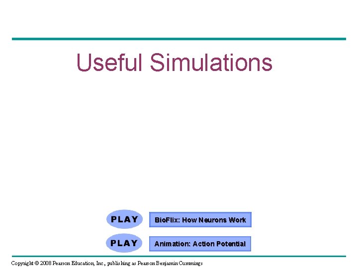 Useful Simulations Bio. Flix: How Neurons Work Animation: Action Potential Copyright © 2008 Pearson