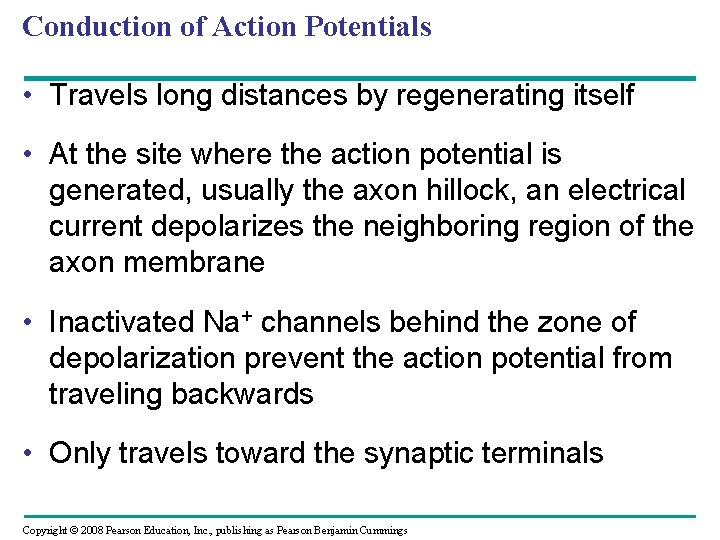 Conduction of Action Potentials • Travels long distances by regenerating itself • At the