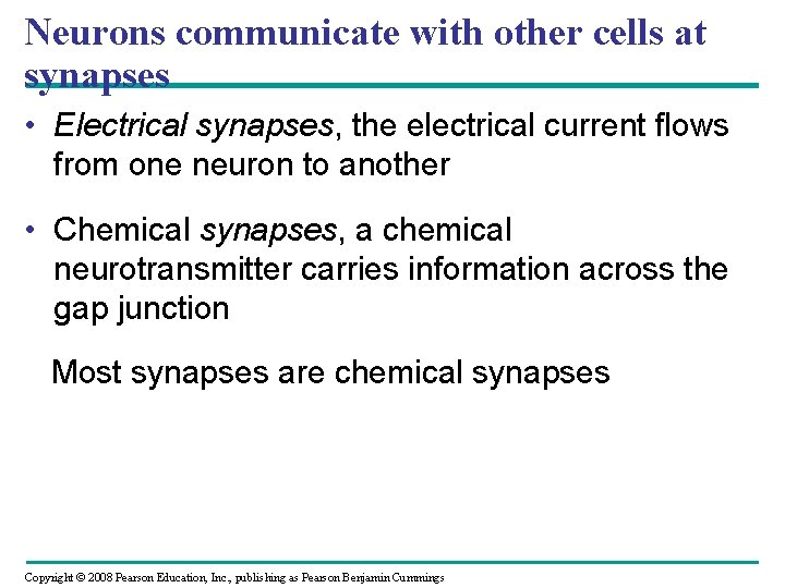 Neurons communicate with other cells at synapses • Electrical synapses, the electrical current flows