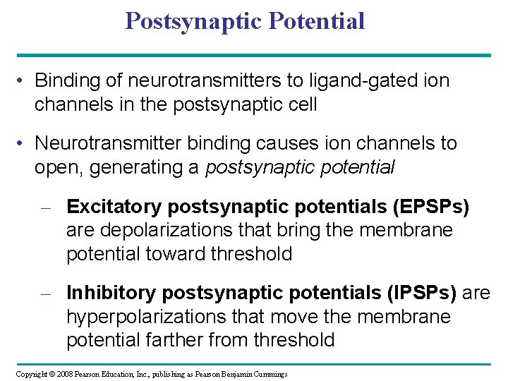 Postsynaptic Potential • Binding of neurotransmitters to ligand-gated ion channels in the postsynaptic cell